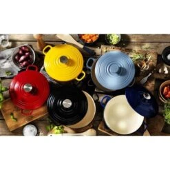 BK Bourgogne Braadpan Ø 20 Cm - Zwart - Gietijzer - Inductie -Keukenbenodigdheden Winkel 1200x1200 1196