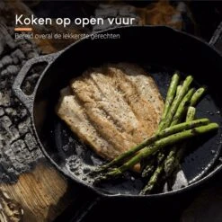 Ocina Gietijzeren Pan – ø30,5cm - Skillet - Koekenpan – Hapjespan – Koekenpan Inductie – Koekenpannenset - Gietijzeren Pan Bbq - Gietijzer -Keukenbenodigdheden Winkel 1200x1200 1397