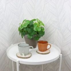 OTIX Koffiekopjes - Met Oor - Set Van 4 - Verschillende Kleuren - Aardewerk - 250 Ml 11 OTIX Koffiekopjes - Met Oor - Set Van 4 - Verschillende Kleuren - Aardewerk - 250 Ml -Keukenbenodigdheden Winkel 1200x1200 559