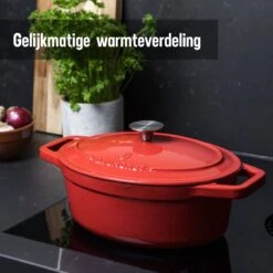 Daumonet Bocuse Rouge Gietijzeren Braadpan - Sudderpan Kersen Rood - Ovaal - Ø 29 Cm - 3 Liter - PFAS & PFOA Vrij - Emaille - Geschikt Voor Alle Warmtebronnen - Elektrisch - Gas - Halogeen - Inductie - Keramisch - Vaatwasserbestendig -Keukenbenodigdheden Winkel 1200x1200 689