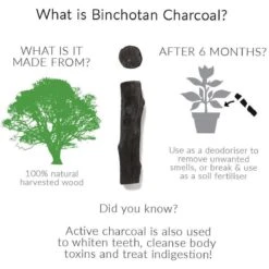 Black + Blum Binchotan Active Charcoal For Eau Good Water Bottles 4-pack -Keukenbenodigdheden Winkel 1200x1200 71