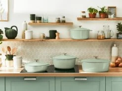 Tefal LOV Braadpan - 5L - Ø25 Cm - Groen 24 Tefal LOV Braadpan - 5L - Ø25 Cm - Groen -Keukenbenodigdheden Winkel 1200x900 90