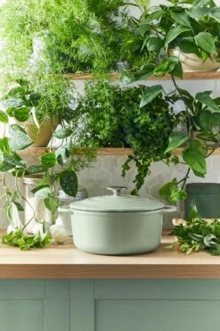 Tefal LOV Braadpan - 5L - Ø25 Cm - Groen 23 Tefal LOV Braadpan - 5L - Ø25 Cm - Groen -Keukenbenodigdheden Winkel 800x1200 34